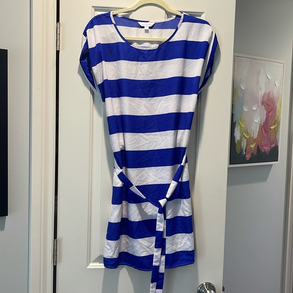 Charming Charlie Striped Blue and White Mini Dress